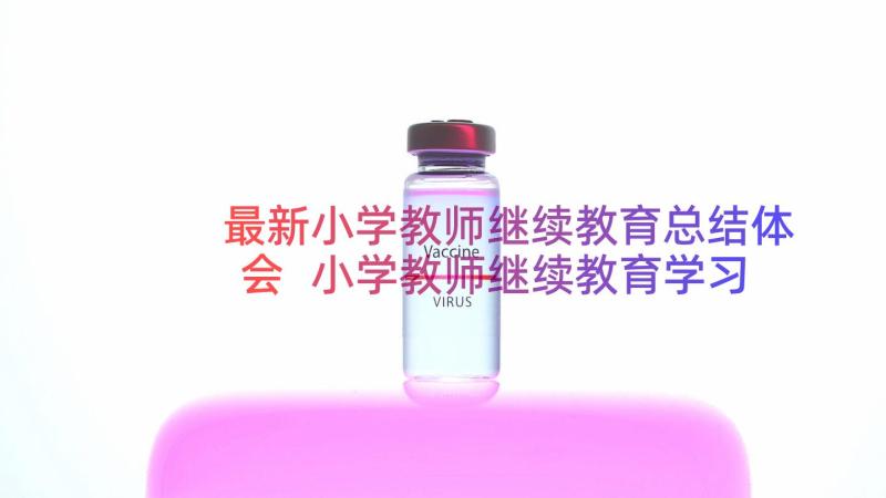 最新小学教师继续教育总结体会 小学教师继续教育学习总结(精选8篇)