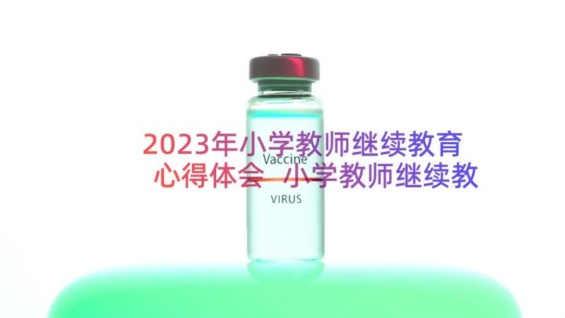 2023年小学教师继续教育心得体会 小学教师继续教育培训学习总结(优质8篇)