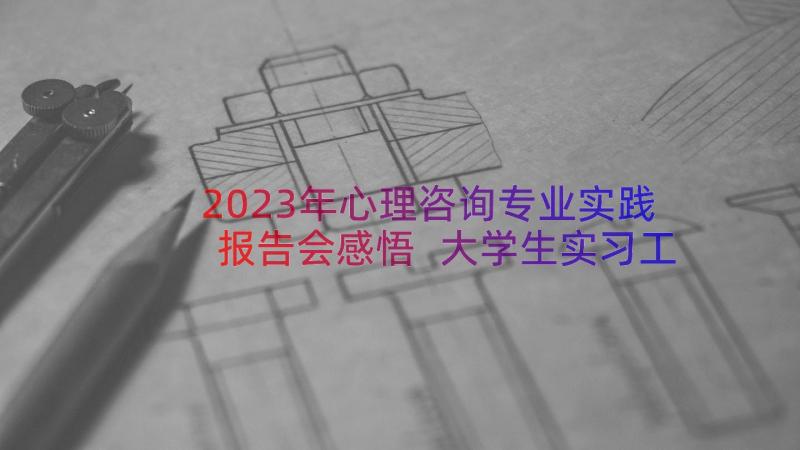 2023年心理咨询专业实践报告会感悟 大学生实习工作总结(汇总9篇)