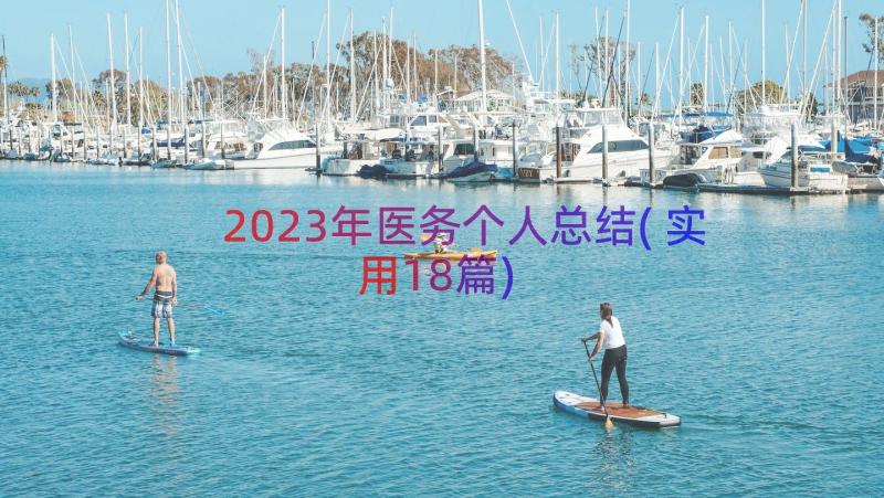 2023年医务个人总结(实用18篇)