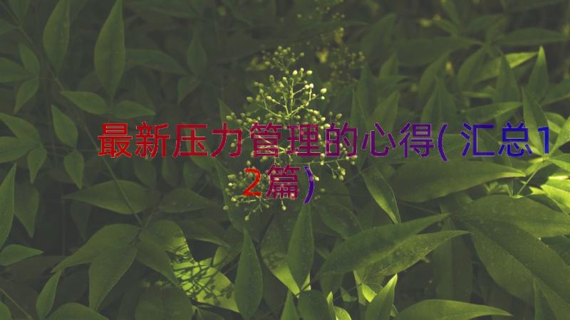 最新压力管理的心得(汇总12篇)