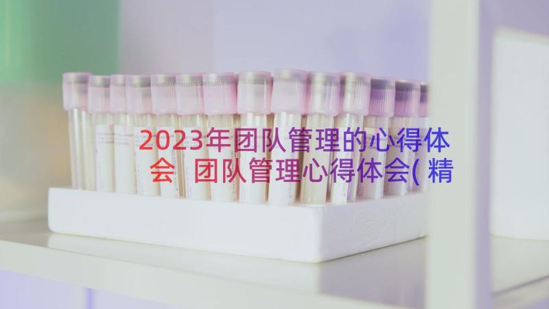 2023年团队管理的心得体会 团队管理心得体会(精选12篇)