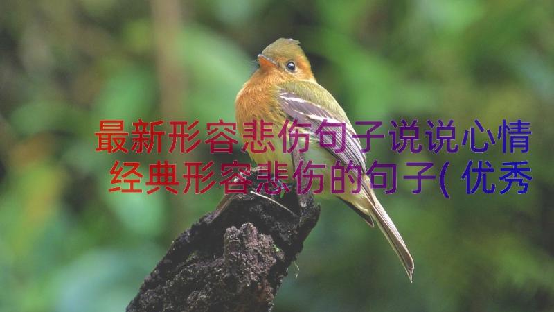 最新形容悲伤句子说说心情 经典形容悲伤的句子(优秀8篇)