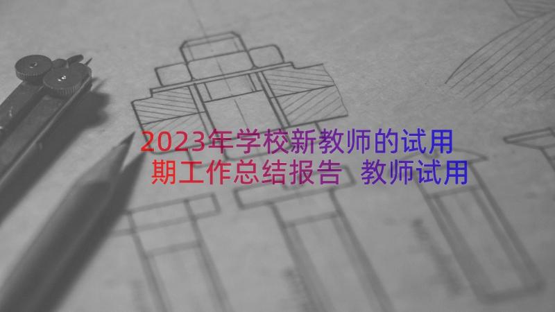 2023年学校新教师的试用期工作总结报告 教师试用期工作总结(汇总16篇)