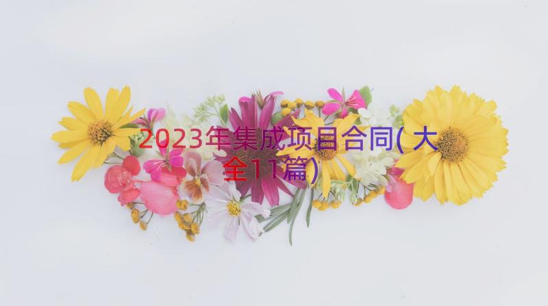 2023年集成项目合同(大全11篇)