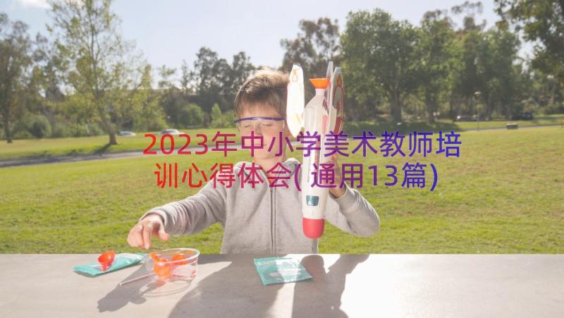 2023年中小学美术教师培训心得体会(通用13篇)