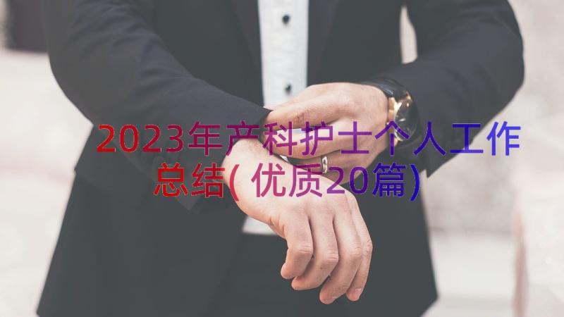 2023年产科护士个人工作总结(优质20篇)