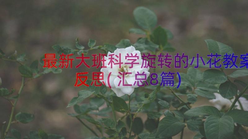 最新大班科学旋转的小花教案反思(汇总8篇)