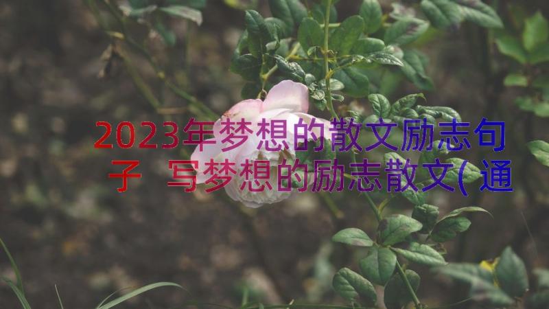 2023年梦想的散文励志句子 写梦想的励志散文(通用8篇)