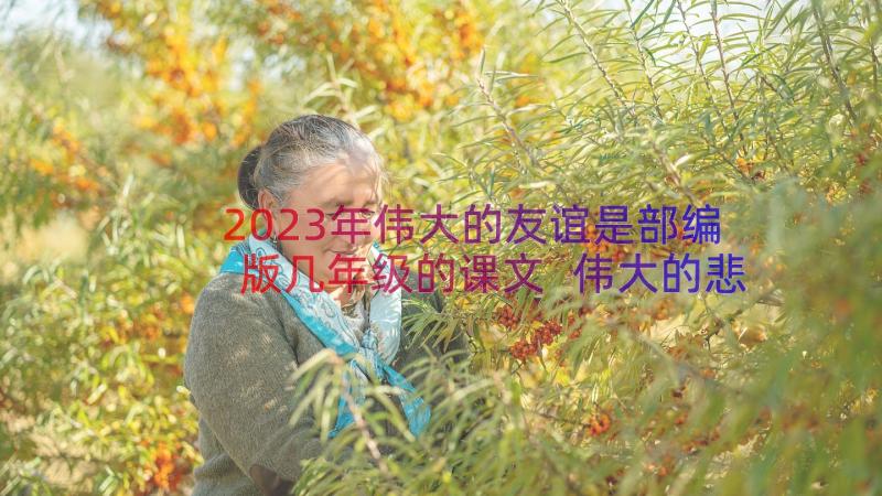 2023年伟大的友谊是部编版几年级的课文 伟大的悲剧教学反思(大全8篇)