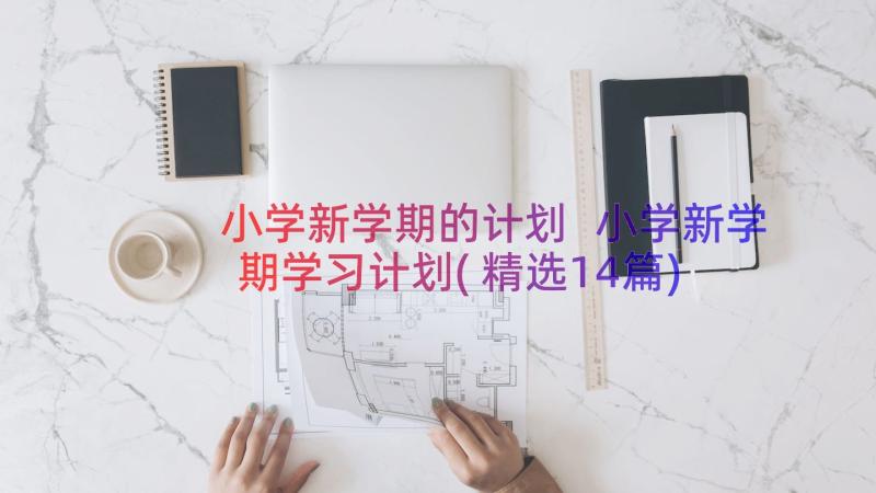 小学新学期的计划 小学新学期学习计划(精选14篇)