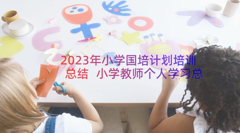 2023年小学国培计划培训总结 小学教师个人学习总结(模板17篇)