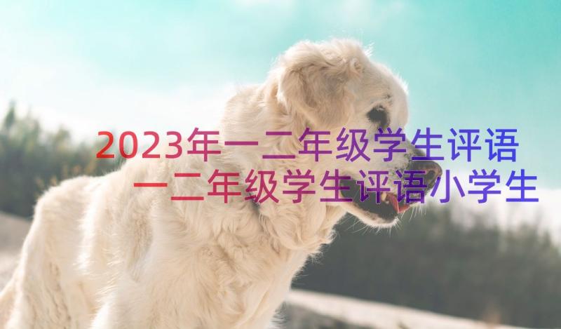 2023年一二年级学生评语 一二年级学生评语小学生评语(汇总11篇)