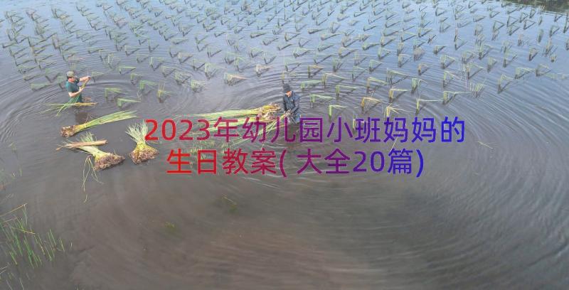 2023年幼儿园小班妈妈的生日教案(大全20篇)