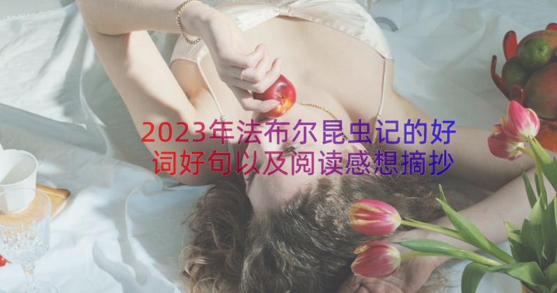 2023年法布尔昆虫记的好词好句以及阅读感想摘抄 昆虫记的好词好句(优秀8篇)