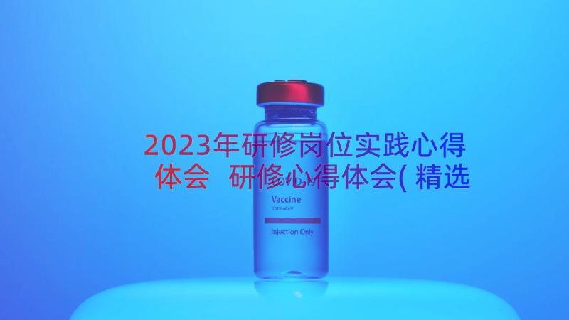 2023年研修岗位实践心得体会 研修心得体会(精选10篇)