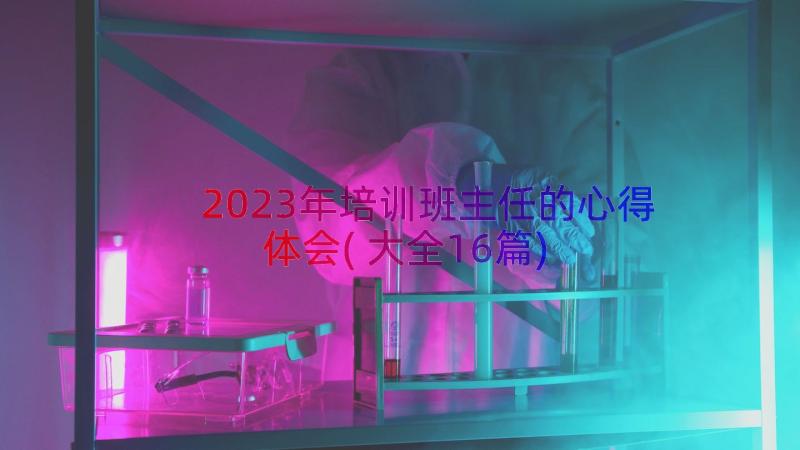 2023年培训班主任的心得体会(大全16篇)