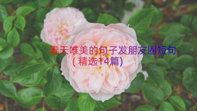 春天唯美的句子发朋友圈短句(精选14篇)