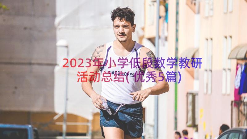 2023年小学低段数学教研活动总结(优秀5篇)