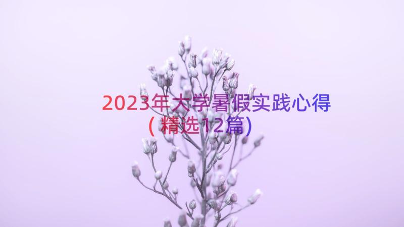 2023年大学暑假实践心得(精选12篇)