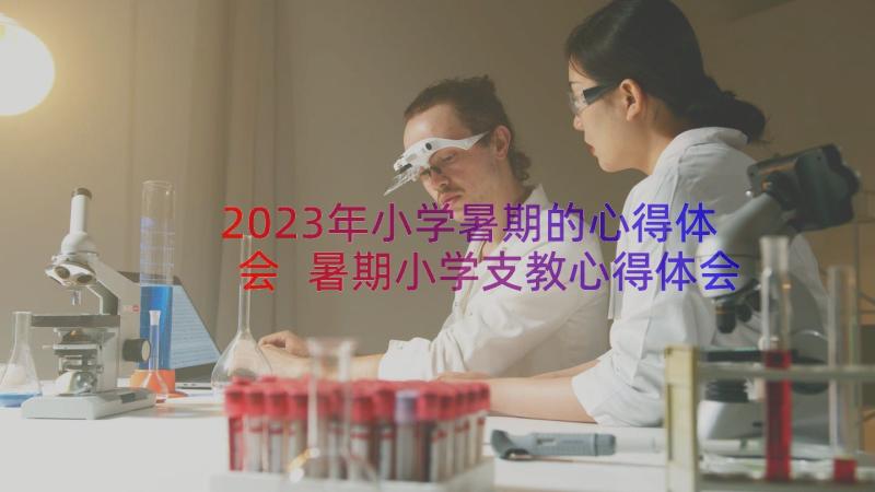 2023年小学暑期的心得体会 暑期小学支教心得体会(实用19篇)