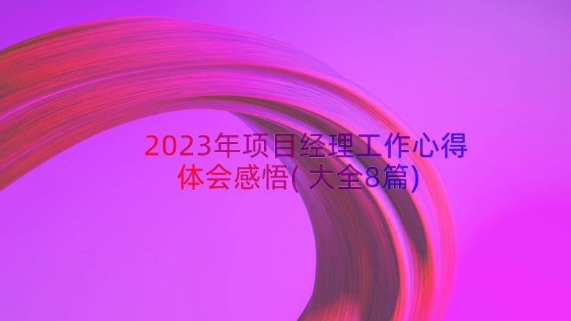 2023年项目经理工作心得体会感悟(大全8篇)