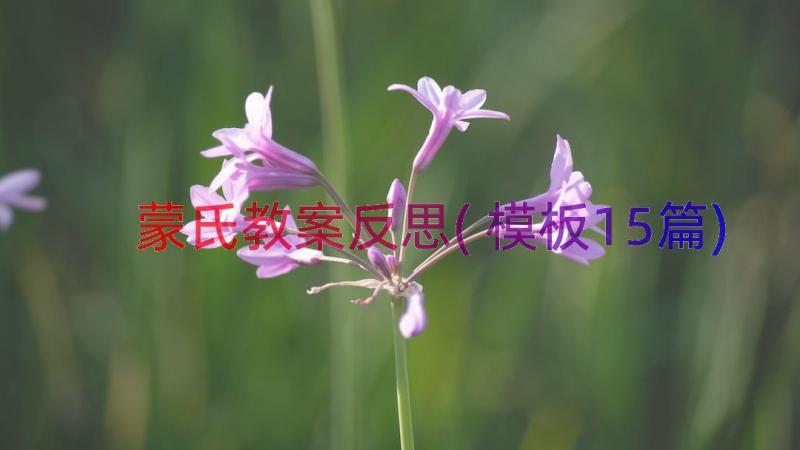 蒙氏教案反思(模板15篇)