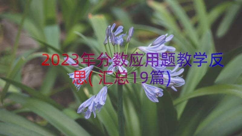 2023年分数应用题教学反思(汇总19篇)