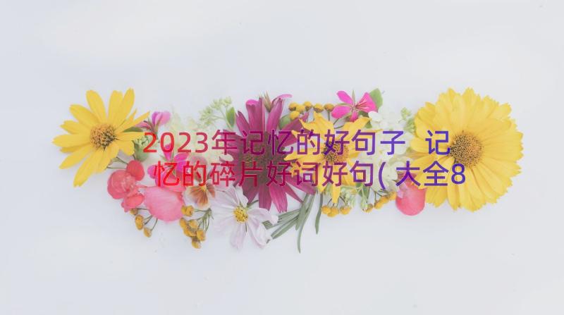 2023年记忆的好句子 记忆的碎片好词好句(大全8篇)