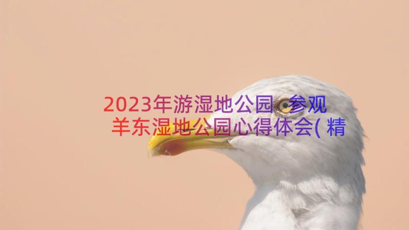 2023年游湿地公园 参观羊东湿地公园心得体会(精选13篇)