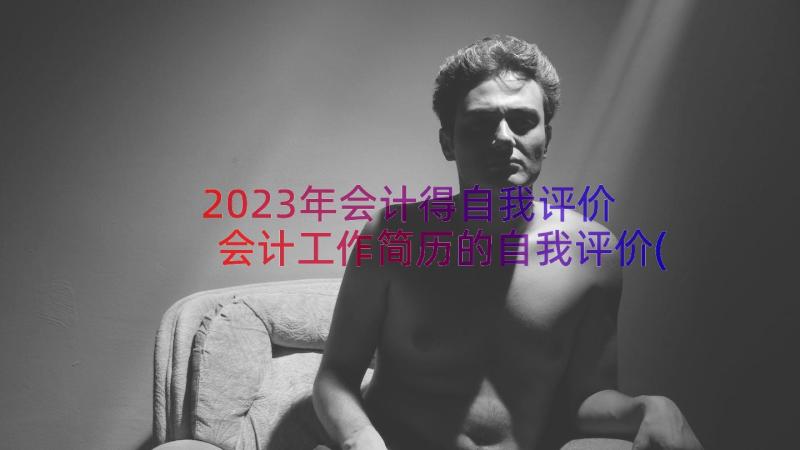 2023年会计得自我评价 会计工作简历的自我评价(大全13篇)