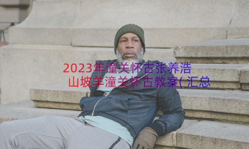 2023年潼关怀古张养浩 山坡羊潼关怀古教案(汇总8篇)