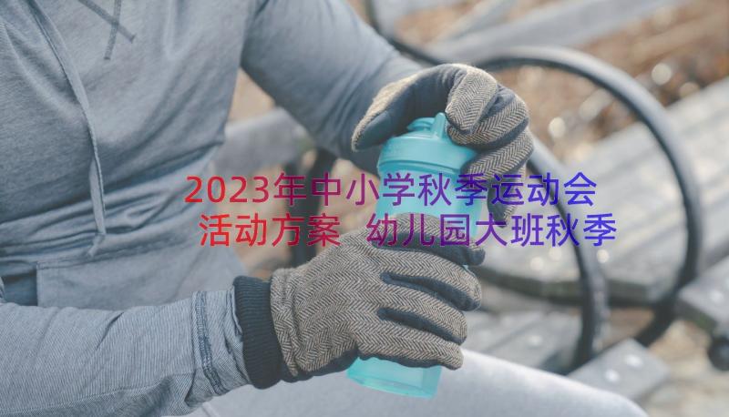 2023年中小学秋季运动会活动方案 幼儿园大班秋季运动会活动方案(实用18篇)