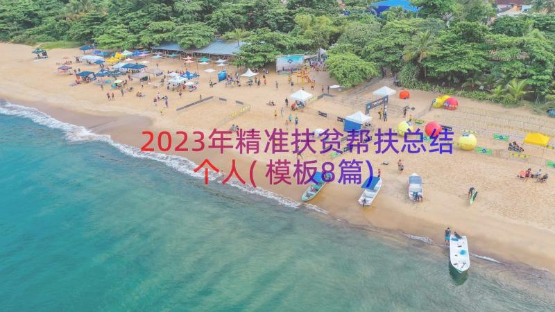 2023年精准扶贫帮扶总结个人(模板8篇)