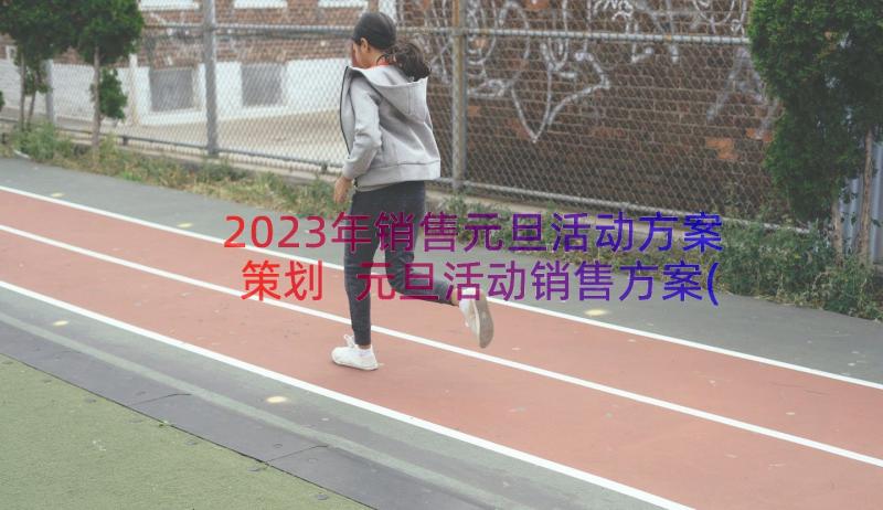 2023年销售元旦活动方案策划 元旦活动销售方案(优质8篇)