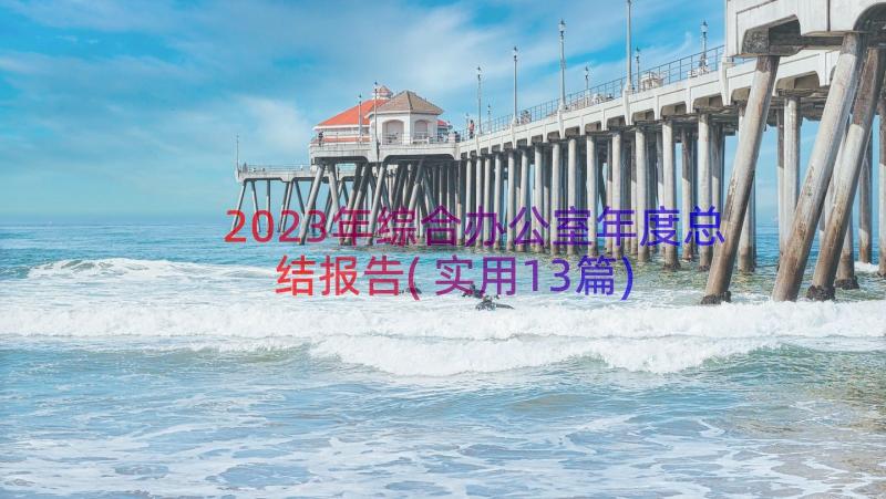 2023年综合办公室年度总结报告(实用13篇)