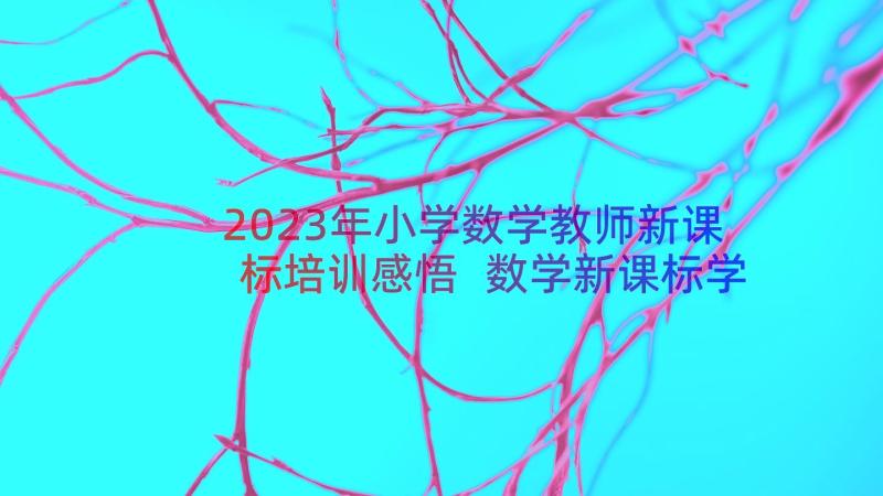 2023年小学数学教师新课标培训感悟 数学新课标学习心得体会(优质14篇)