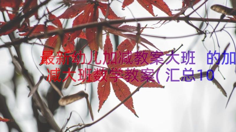 最新幼儿加减教案大班 的加减大班数学教案(汇总10篇)