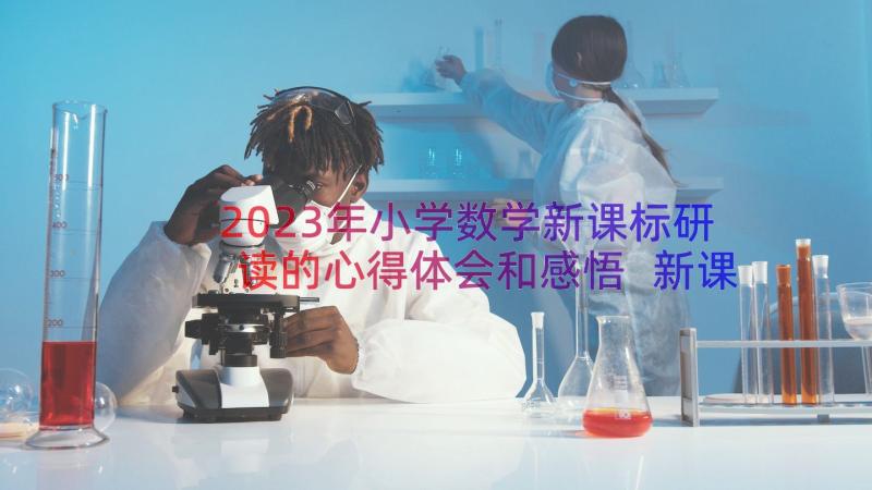 2023年小学数学新课标研读的心得体会和感悟 新课标数学心得体会小学(汇总18篇)