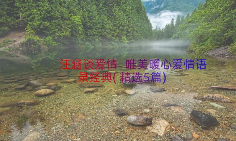 汪涵谈爱情 唯美暖心爱情语录经典(精选5篇)