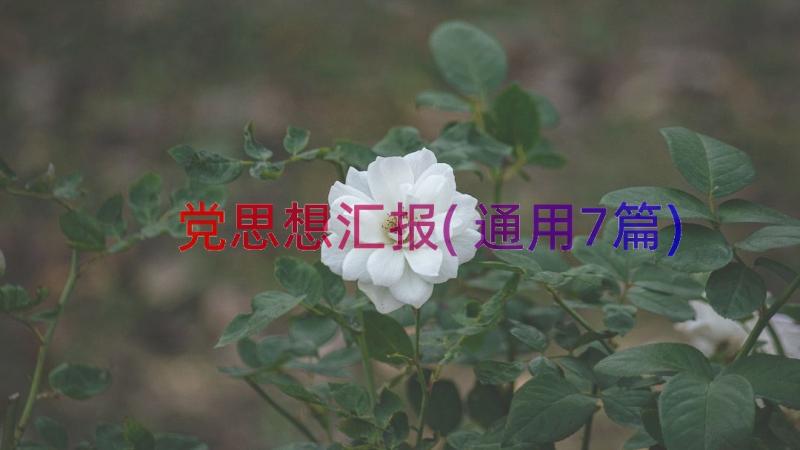 党思想汇报(通用7篇)