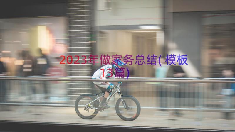 2023年做家务总结(模板13篇)