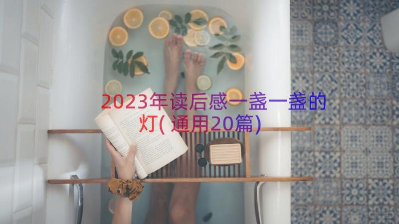 2023年读后感一盏一盏的灯(通用20篇)