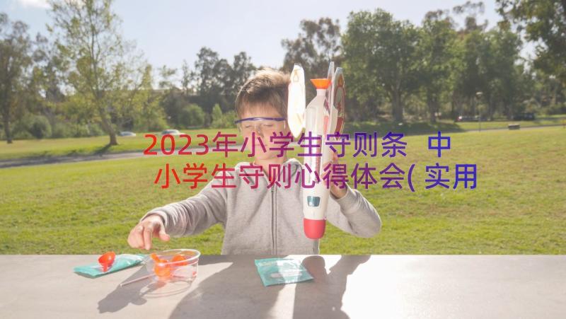 2023年小学生守则条 中小学生守则心得体会(实用12篇)