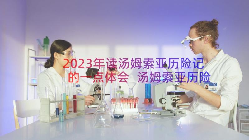 2023年读汤姆索亚历险记的一点体会 汤姆索亚历险记的读书心得体会(实用8篇)