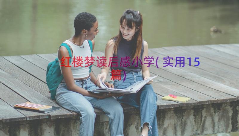 红楼梦读后感小学(实用15篇)