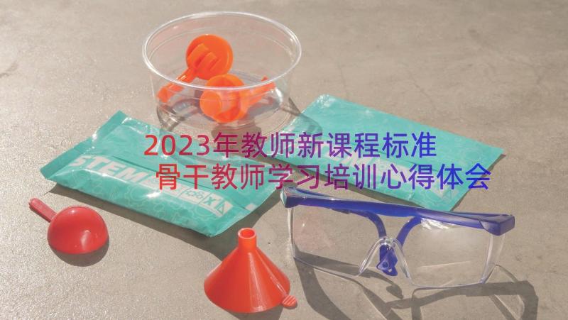 2023年教师新课程标准 骨干教师学习培训心得体会参考(优质17篇)