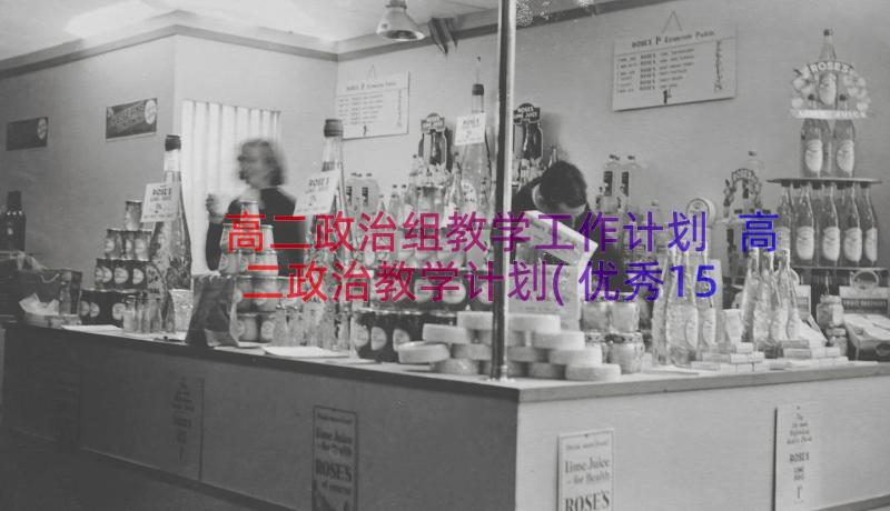 高二政治组教学工作计划 高二政治教学计划(优秀15篇)