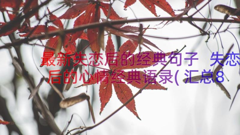 最新失恋后的经典句子 失恋后的心情经典语录(汇总8篇)