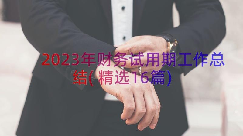 2023年财务试用期工作总结(精选16篇)